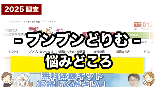 ブンブンどりむの悩みどころを紹介しているページ