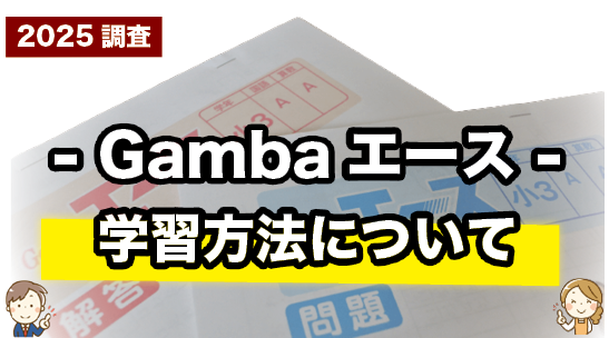 Gambaエースの学習方法について紹介するページ