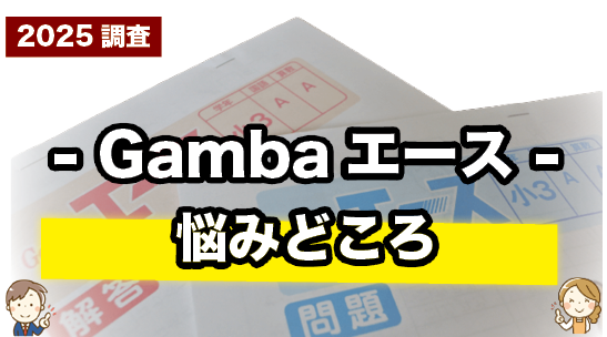 Gambaエースの悩みどころを紹介しているページ